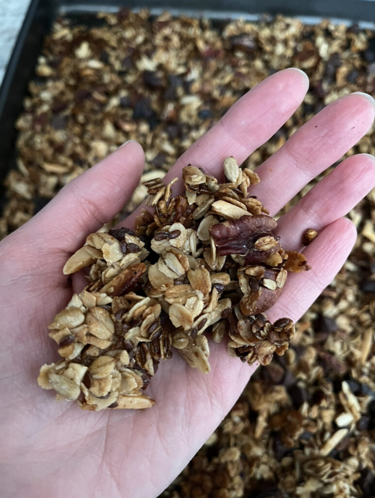 Homemade Granola in Hand